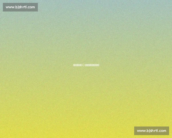 庞特斯眼中的 C 罗：葡萄牙的国家符号